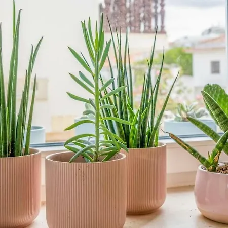 Townhouse Near Lighthouse & Big Waves Apartment